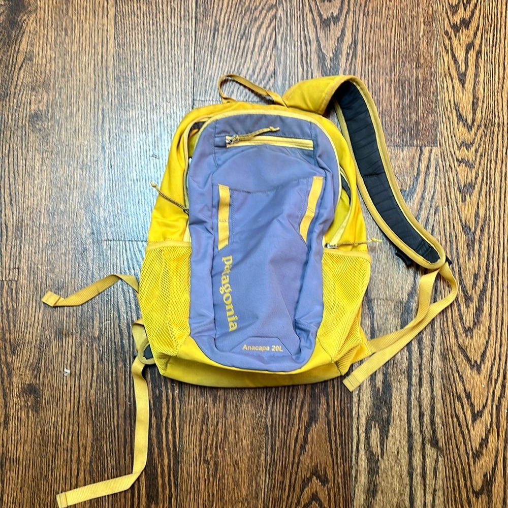 Patagonia - Anacapa 20L backpack - purple and yellow - used condition